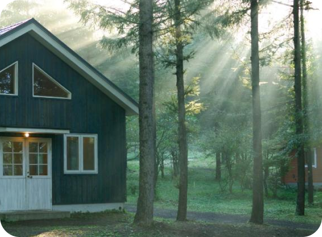 Gracious Cabin