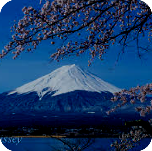 富士山